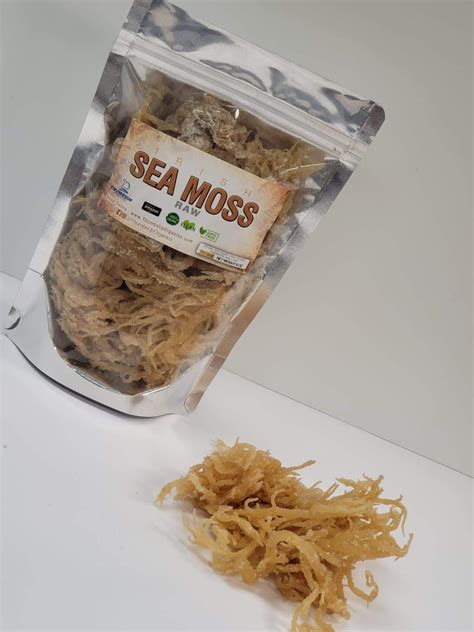 Sea Moss Raw 2 Lb Natural Irish Mosschondrus Crispus