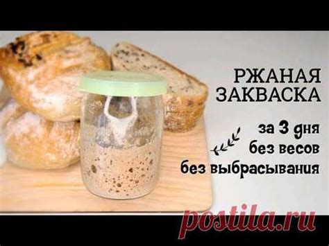 Ржаная ЗАКВАСКА вечная для хлеба, выпечки и кваса | Простой способ выв ...