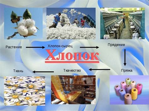 Хб - хлопчатобумажная ткань, как определить на ощупь, виды и ...
