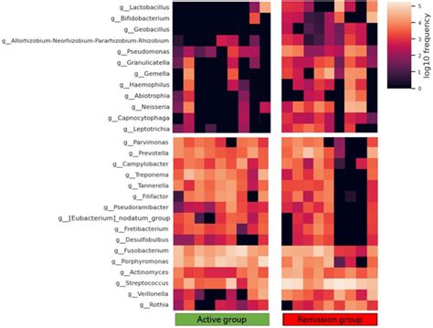 Heat Map Of Relative Abundance Of The Major Bacteria In The Two Groups Download Scientific