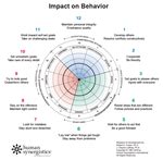 Human Synergistics Leadership Toolkit 