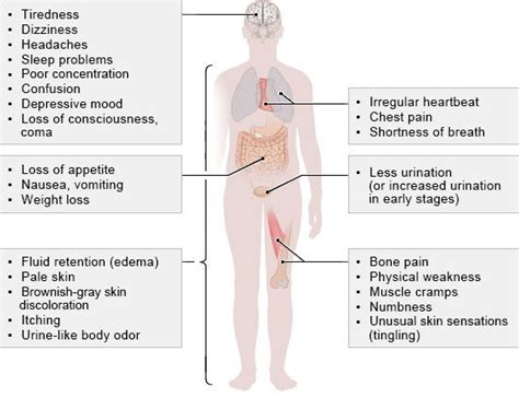 Chronic kidney disease | informedhealth.org