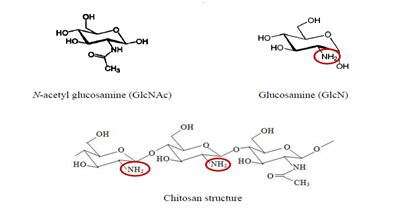 Treatment Of Textile Waste Water Using Natural Catalyst Chitosan And