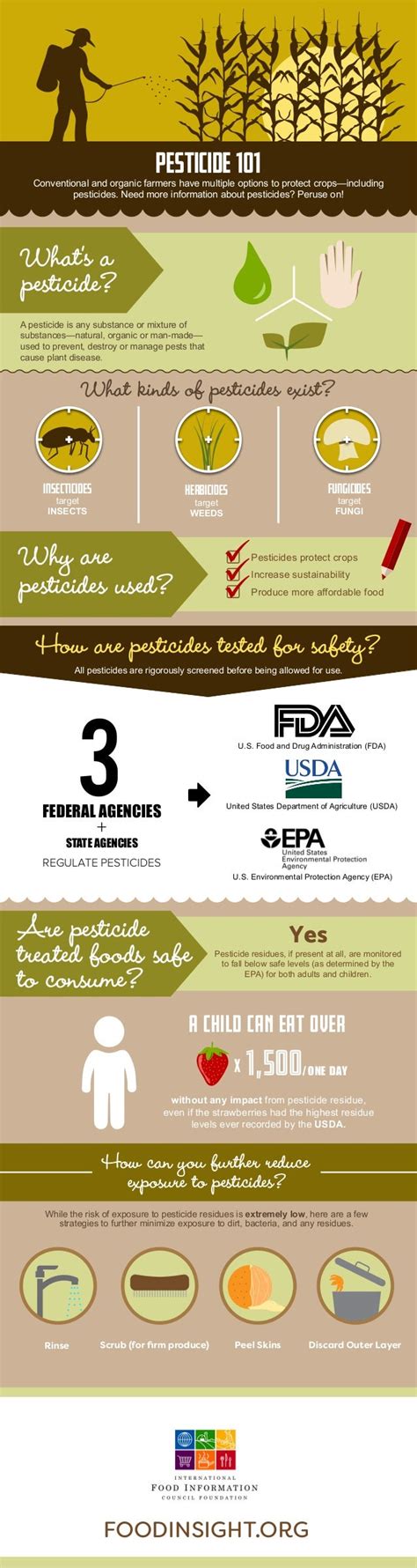 Pesticide 101 Infographic