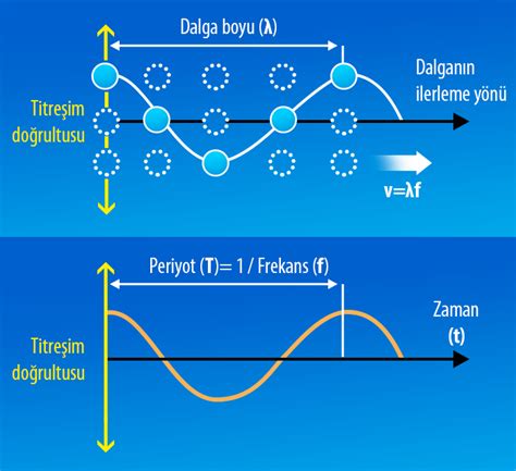 Dalga Nedir Dalgaların Özellikleri Nelerdir TÜBİTAK Bilim Genç