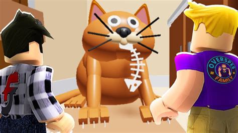 🐱le Chat De Roblox Veut Nous Manger Avec Furious Jumper Youtube