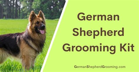 Home - German Shepherd Grooming