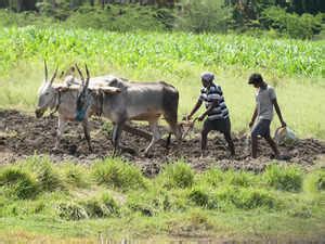 India Needs To Usher In Green Revolution To Promote Less Water