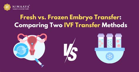 Fresh Vs Frozen Embryo Transfer In Depth Understanding