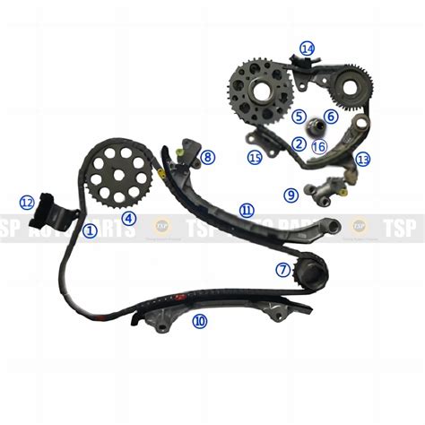 Tk Ty Timing Chain Kit For Toyota From China Manufacturer Tsp