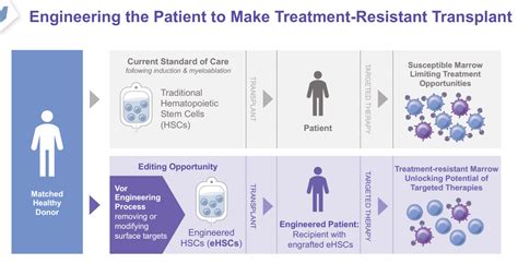 Vor Biopharma Stock Targeted Therapies For Transplants Nasdaqvor