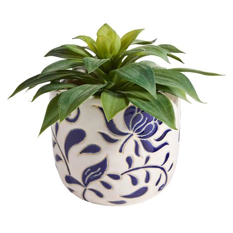 Indoor Chrysanthemum Planter, Medium | At Home