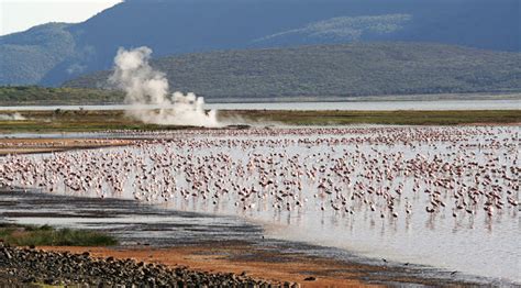 Lake Bogoria | Kenya Wildlife Safari Tour Destinations