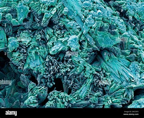 Gypsum Crystals Coloured Scanning Electron Micrograph SEM Of