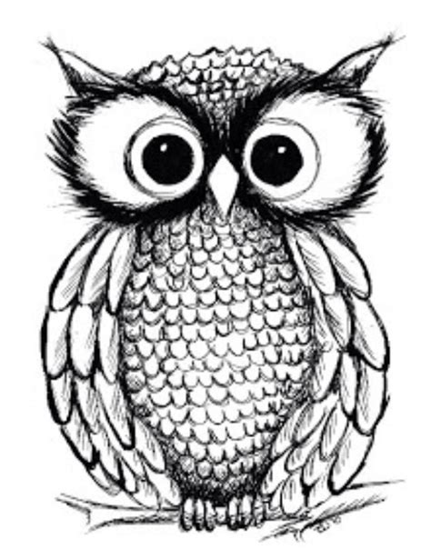 Simple Cute Owl Drawing At Getdrawings Free Download