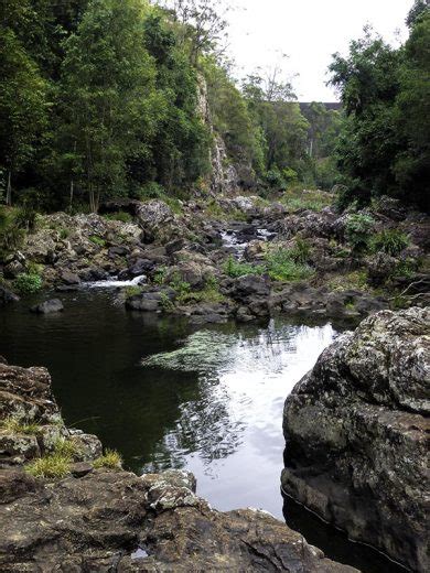 A Walk In Obi Obi Gorge At Maleny