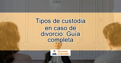 Tipos de custodia en caso de divorcio Guía completa Actualizado