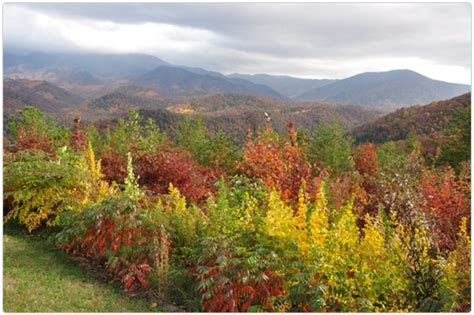 The Beauty of October in Gatlinburg