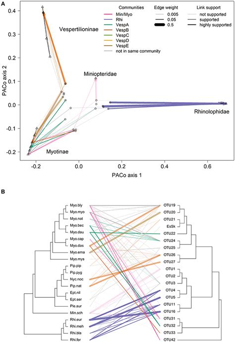 Frontiers Host Phylogeny Geographic Overlap And Roost Sharing Shape