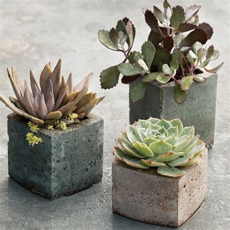 Diy Hypertufa Planter Cool Looking Planters For Your Garden