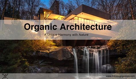 Organic Architecture: A Unique Harmony With Nature | The Design Gesture