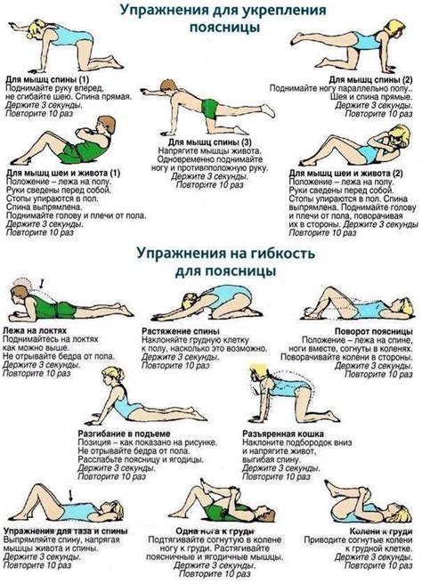 Упражнения при грыже поясничного отдела позвоночника