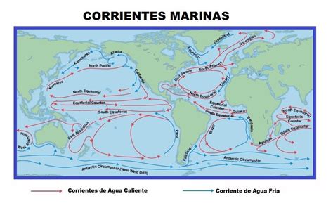 Qu Son Qu Importancia Tienen Y C Mo Se Forman Las Corrientes Marinas