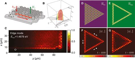 Active Topological Photonics