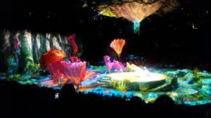 Cirque Du Soleil Toruk The First Flight Show Review By Susan