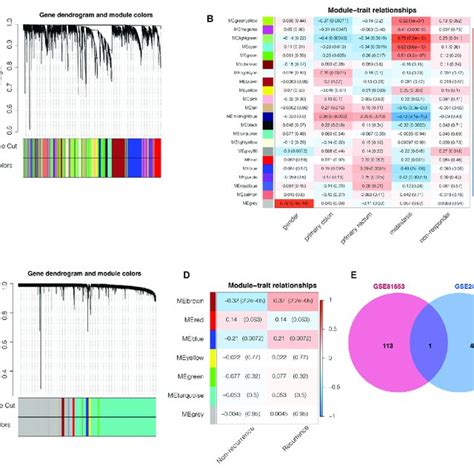 Weighted Gene Co Expression Network Analysis Wgcna Predicts That C3