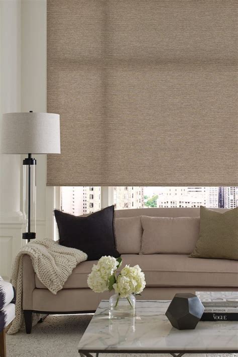 Alustra Woven Textures Roller Hunter Douglas Roller Shades Living Room Roller Shades