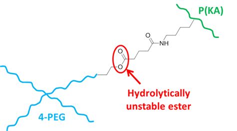 Scheme Schematic Representation Of The Crosslinked P Ka Peg With