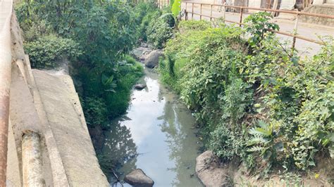 Aguas Negras Contaminan Los Lagos De Xalapa Gobernador NV Noticias