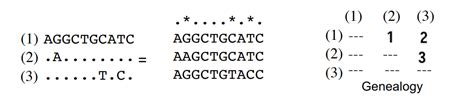 Modern Genomics Ii Notes Eth Z Rich