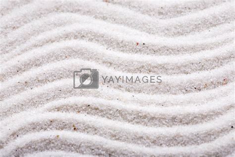 Macro Sand Texture by leaf Vectors & Illustrations with Unlimited ...