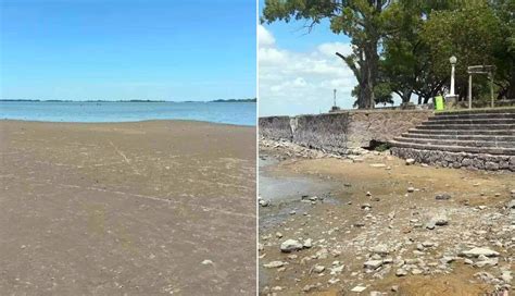 Alarmante disminución del agua en la laguna de Chascomús Puede