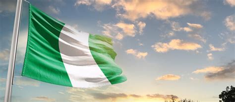 Afbeeldingen Over Nigeria Flag Blader In Stockfoto S Vectoren En