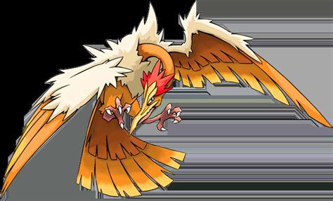 Pokemon 10022 Shiny Mega Fearow Pokedex: Evolution, Moves, Location, Stats