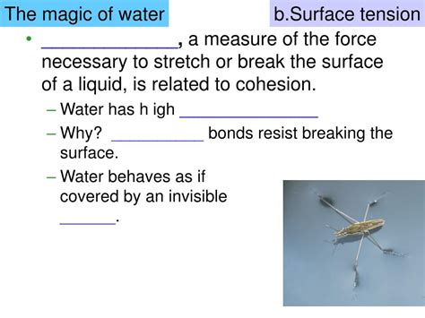 Ppt Chemical Foundations For Cells Powerpoint Presentation Free Download Id 6118855