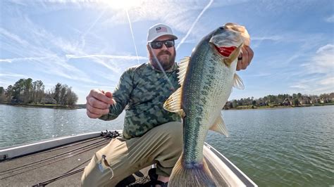 Lipless Crankbait Tricks And Spring Bass Fishing Tips — Tactical