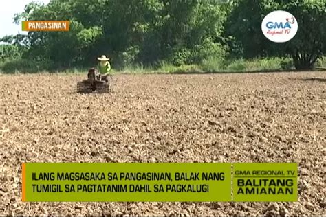 Balitang Amianan Pagkalugi Ng Mga Magsasaka