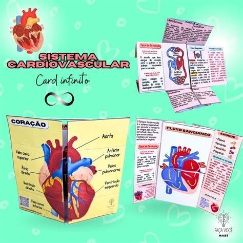 Atividade Sistema Cardiovascular 5 Ano