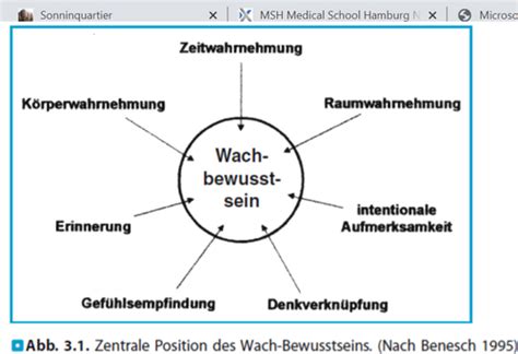 Psychopathologischer Befund I Flashcards Quizlet