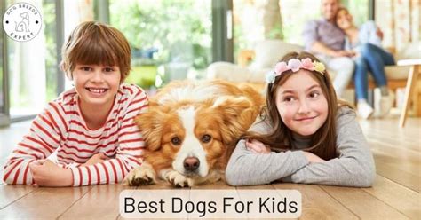 Best Dogs For Kids - 16 Dog Breeds To Check Out