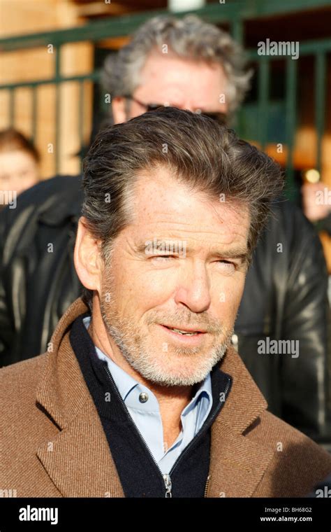 Actor Pierce Brosnan Stock Photo Alamy