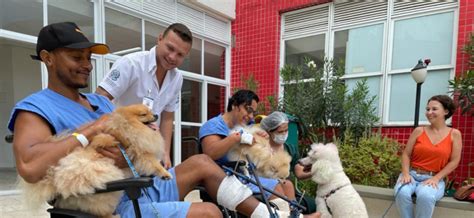 Hospital Estadual Dr Jayme Santos Neves inicia projeto Cão Terapia