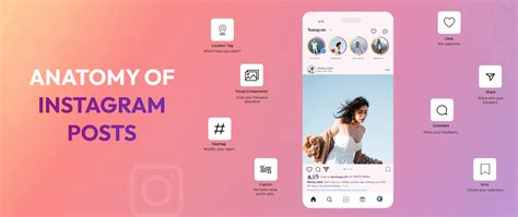 Anatomía De Una Publicación En Instagram Conceptos Básicos