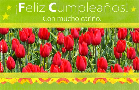 Postal de tulipan feliz cumpleaños - Imagui