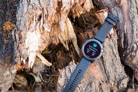 Venta Reloj Garmin Fenix 5 Mujer En Stock