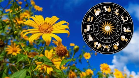 Cómo influirá el equinoccio de primavera en tu signo zodiacal